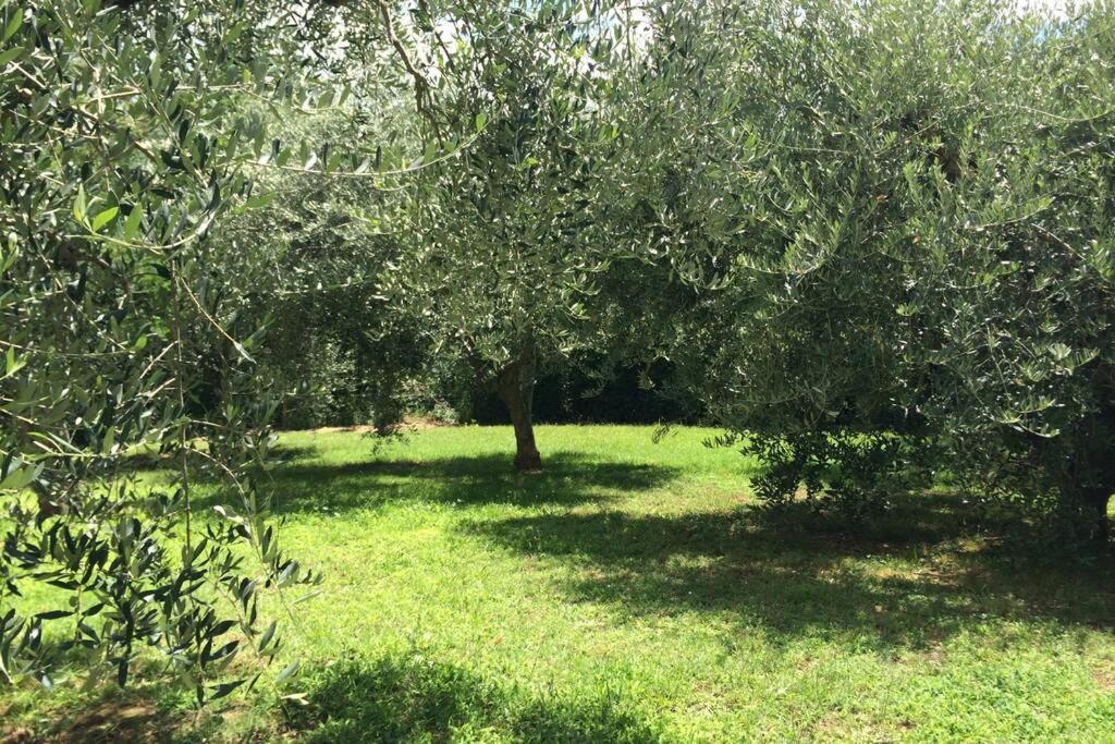 Campagna Toscana Presso Terme Lägenhet Lari Exteriör bild