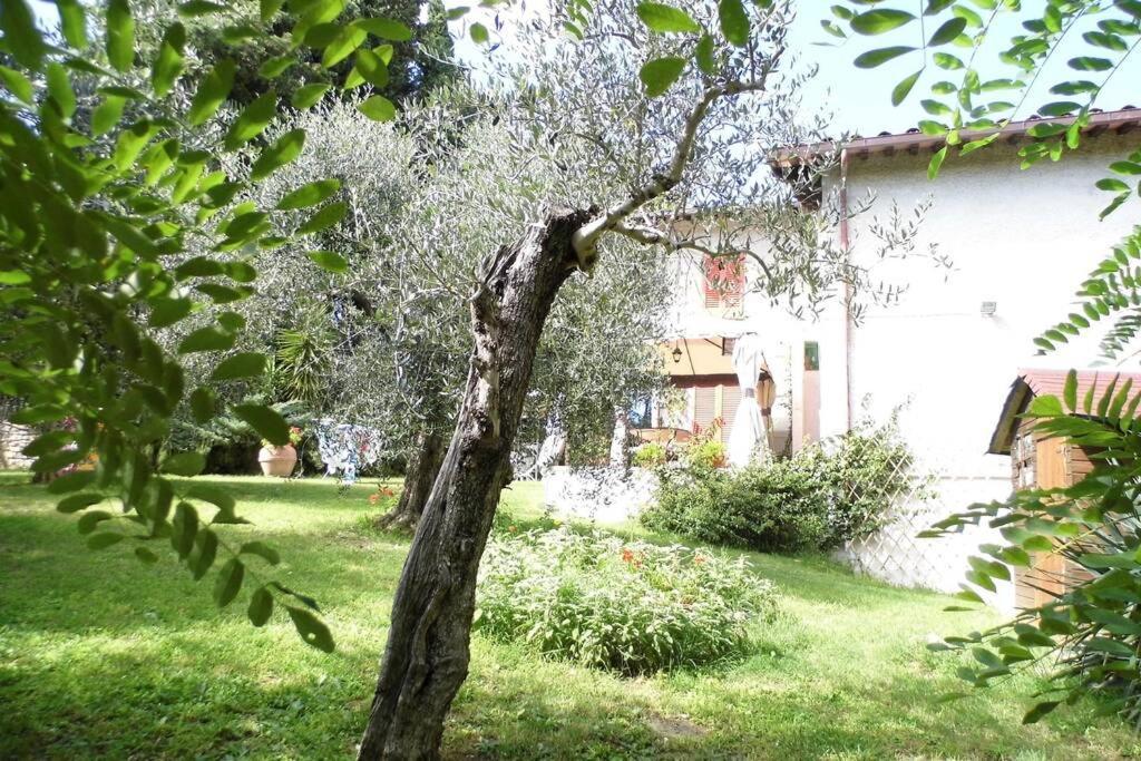 Campagna Toscana Presso Terme Lägenhet Lari Exteriör bild