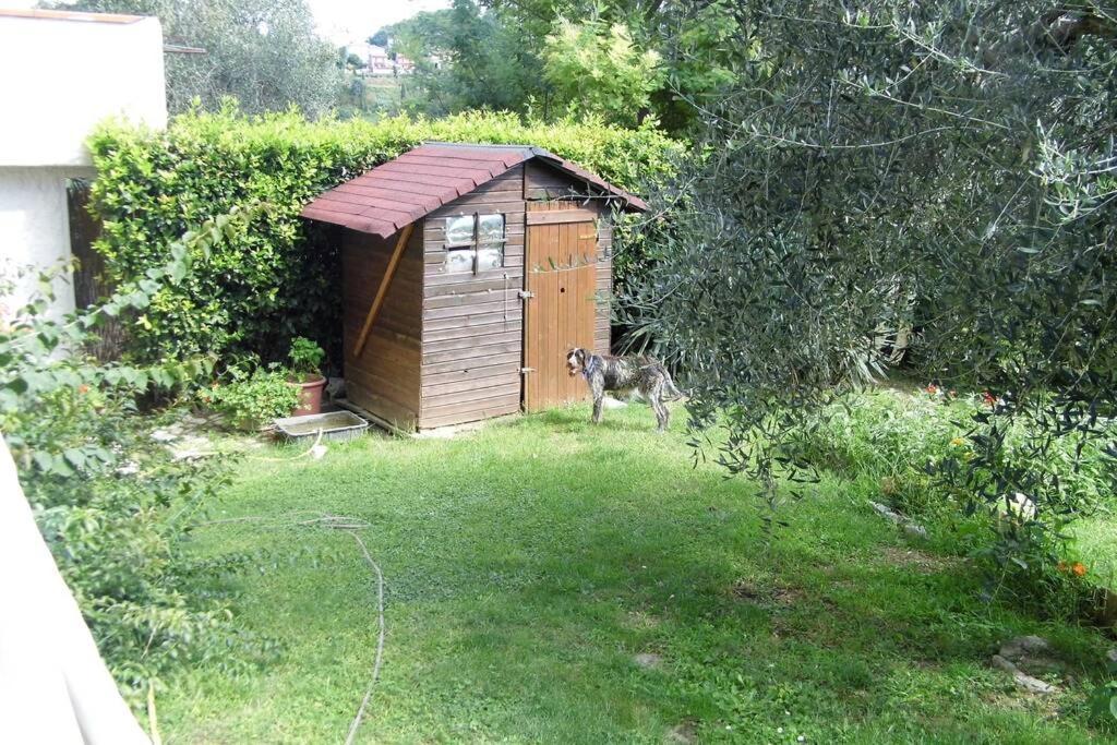 Campagna Toscana Presso Terme Lägenhet Lari Exteriör bild